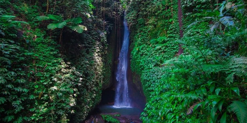 Northern Waterfall Tour – A Full-Day Chase of Bali’s Hidden Gems